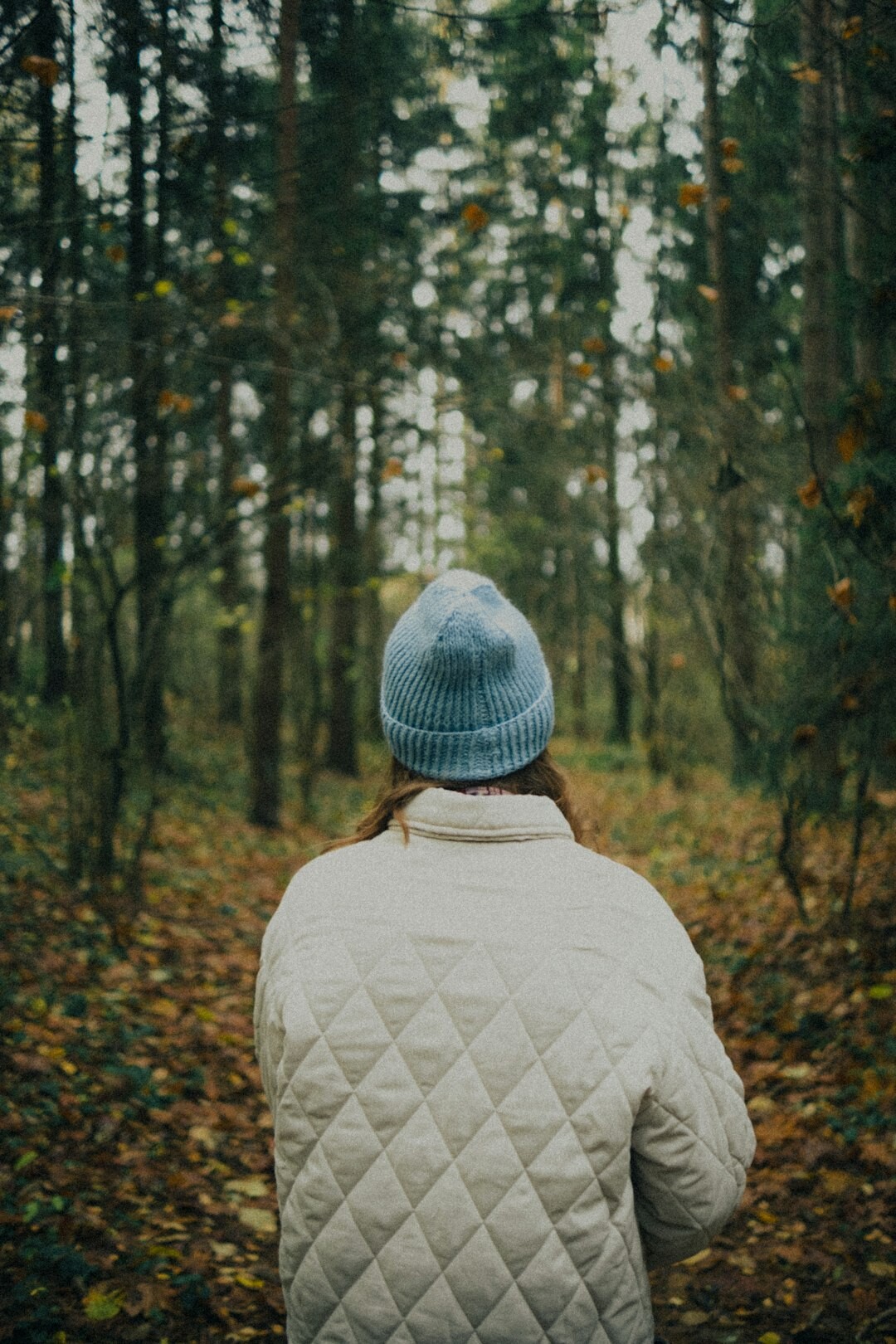person walking in foggy forest