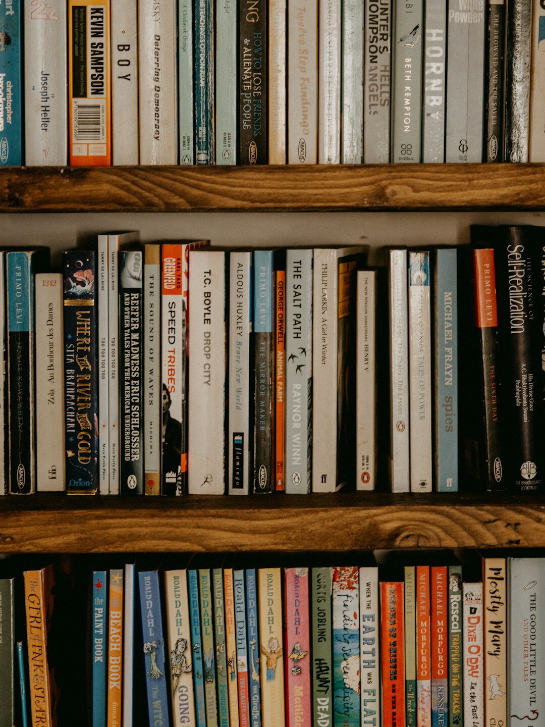 antique books on shelf